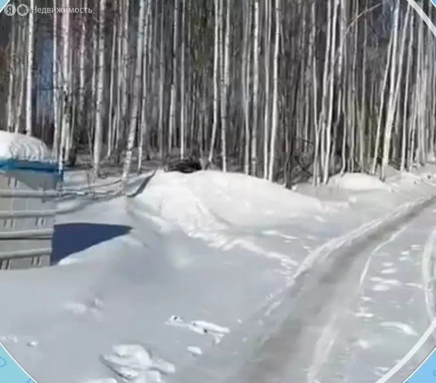 Участок в Челябинская область, Сосновский муниципальный округ, ... - Фото 2