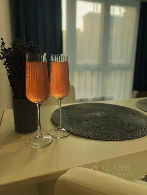 Студия Краснодарский край, Краснодар ул. Ивана Беличенко, 88к1 (28.0 ... - Фото 2