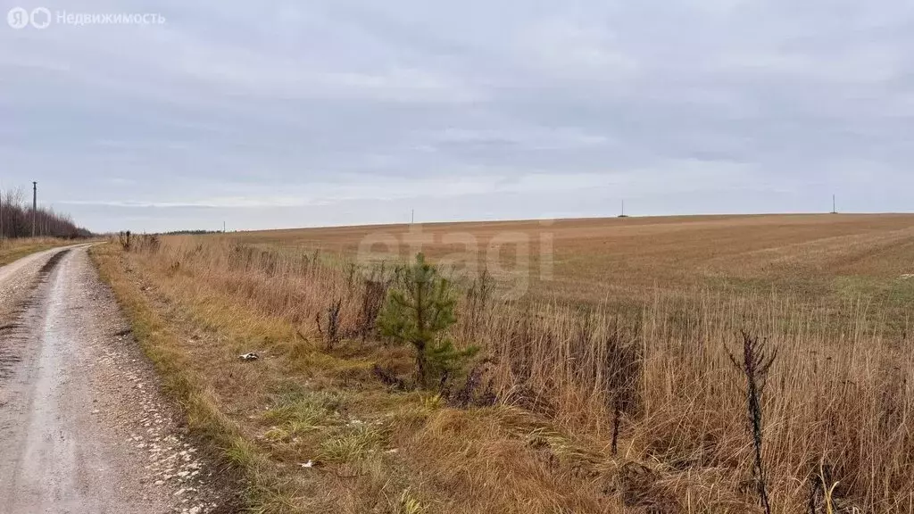 Участок в городской округ Нижний Новгород, село Запрудное (10 м) - Фото 2