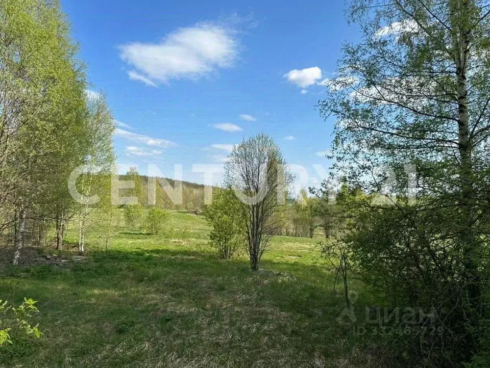 Участок в Ленинградская область, Выборгский район, Каменногорское ... - Фото 2