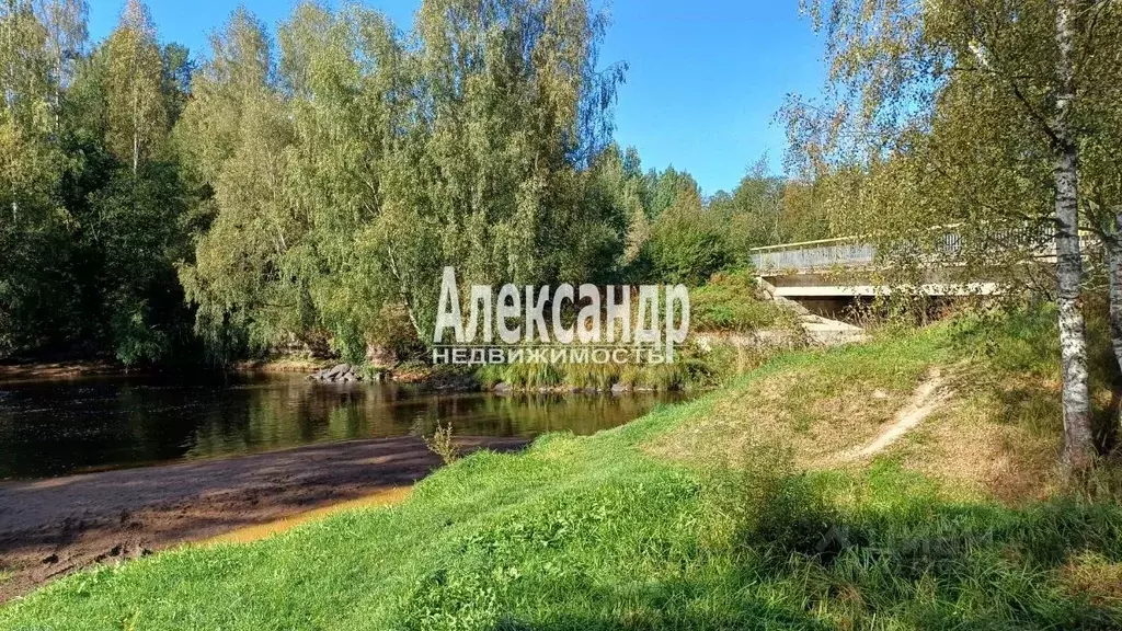 Участок в Ленинградская область, Приозерский район, Запорожское с/пос, ... - Фото 2
