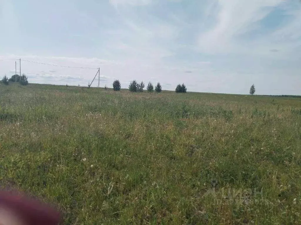 Участок в Свердловская область, Ачит пгт ул. Береговая (11.39 сот.) - Фото 1