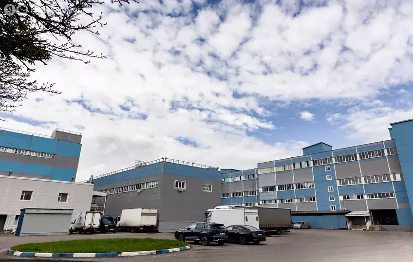 Офис (31.7 м) - Фото 2