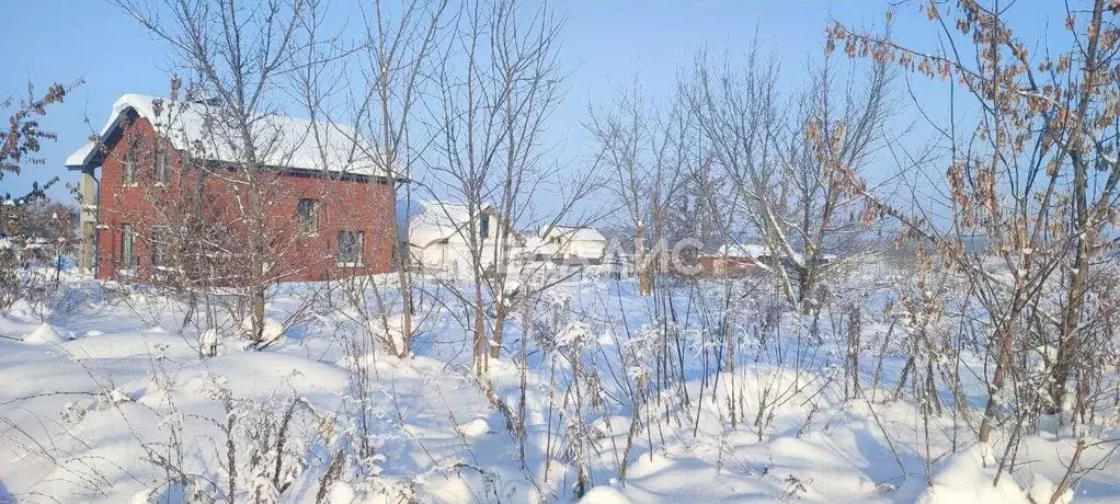 Участок в Нижегородская область, Богородский муниципальный округ, с. ... - Фото 1