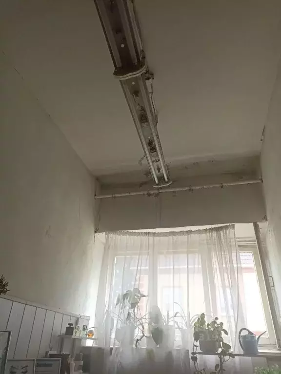 Помещение свободного назначения в Костромская область, Шарья ул. Имени ... - Фото 0