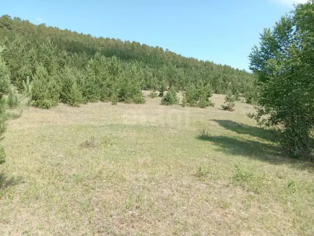 Участок в Иркутская область, Ольхонский район, Еланцынское ... - Фото 0
