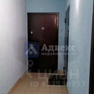 2-к кв. Тюменская область, Тюменский муниципальный округ, д. Дударева ... - Фото 2