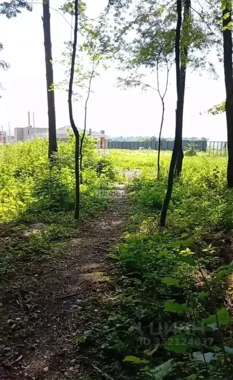 Участок в Московская область, Одинцовский городской округ, д. Лапино  ... - Фото 1