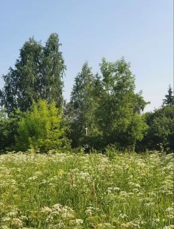 Участок в Нижегородская область, Нижний Новгород с. Варварское, ул. ... - Фото 1