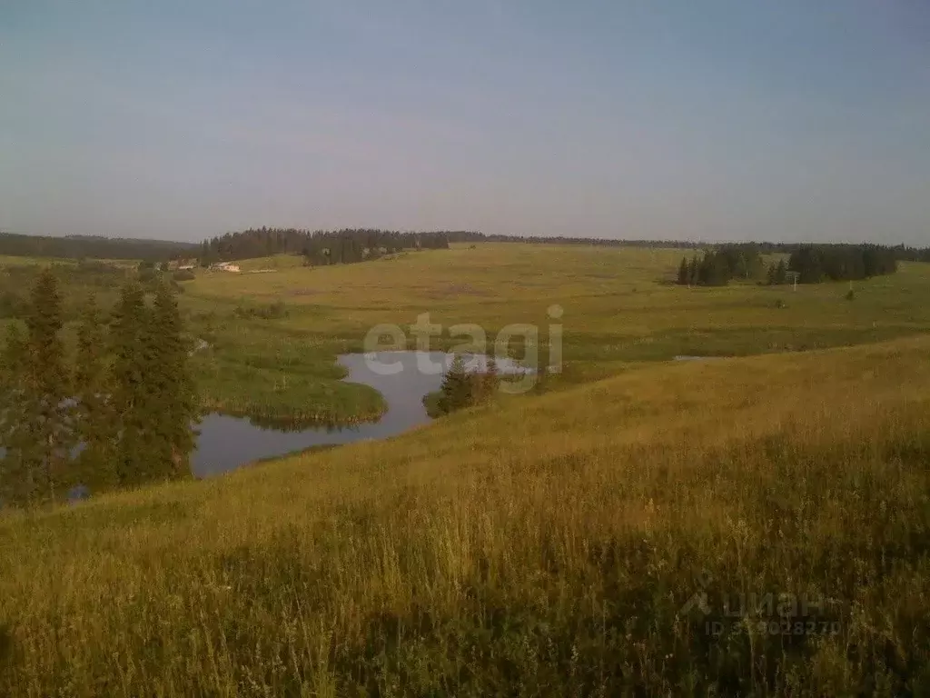 Участок в Пермский край, Кунгурский муниципальный округ, с. Калинино ... - Фото 0