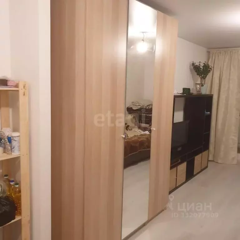Студия Санкт-Петербург просп. Металлистов, 117 (27.2 м) - Фото 1