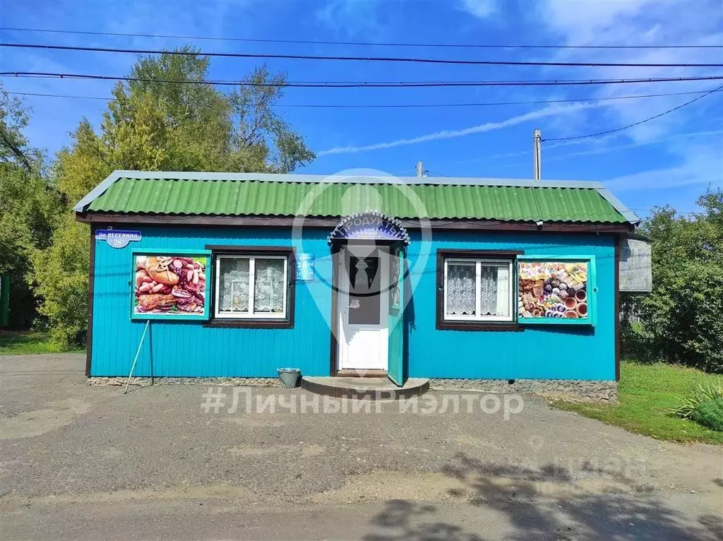 Торговая площадь в Рязанская область, Александро-Невский рп ул. ... - Фото 1