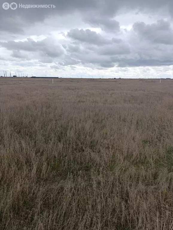 Участок в Сакский район, Молочненское сельское поселение, село Витино ... - Фото 2