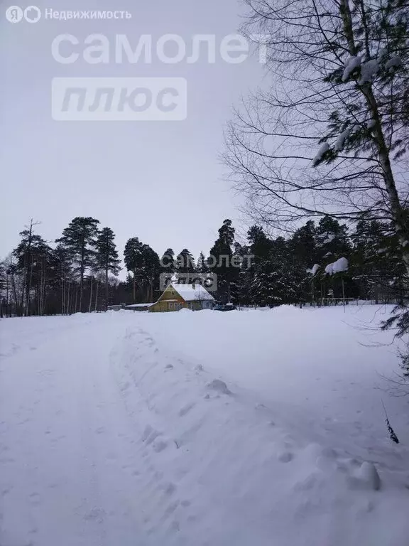 Участок в Городец, Северный микрорайон (77 м) - Фото 1