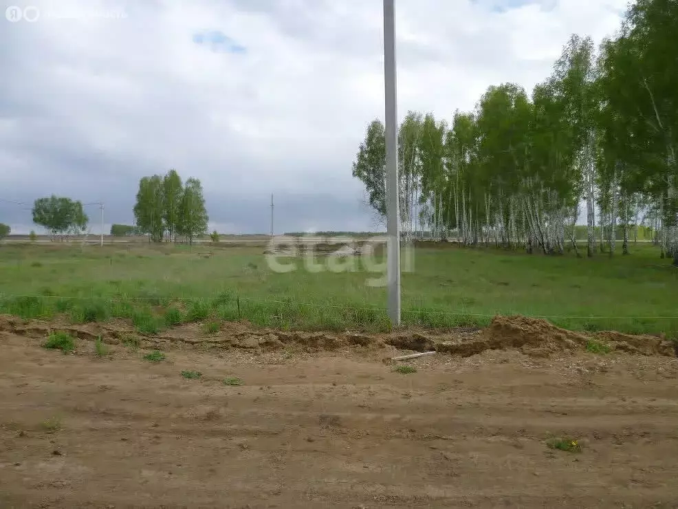 Участок в Колыванский район, деревня Чаус, улица Терешковой (9.11 м) - Фото 2