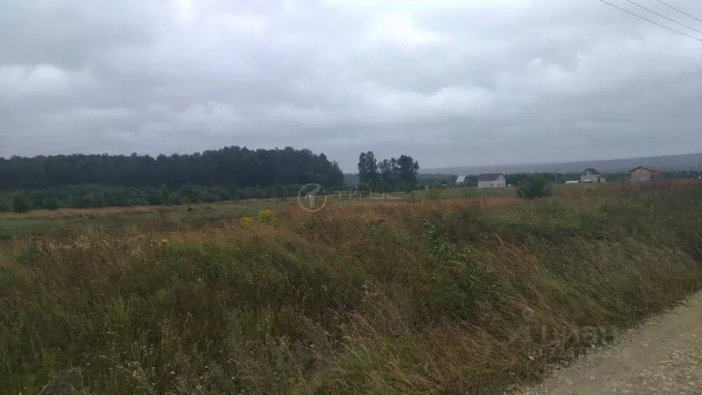 Участок в Калужская область, Тарусский муниципальный округ, Лопатино ... - Фото 2