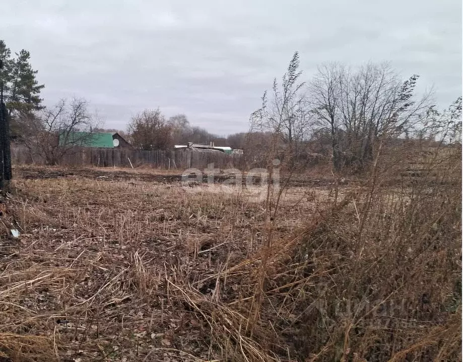 Участок в Томская область, Шегарский район, с. Бабарыкино Набережная ... - Фото 0