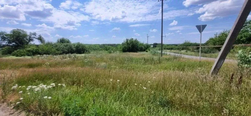 Участок в Краснодарский край, Ленинградский муниципальный округ, Коржи ... - Фото 0