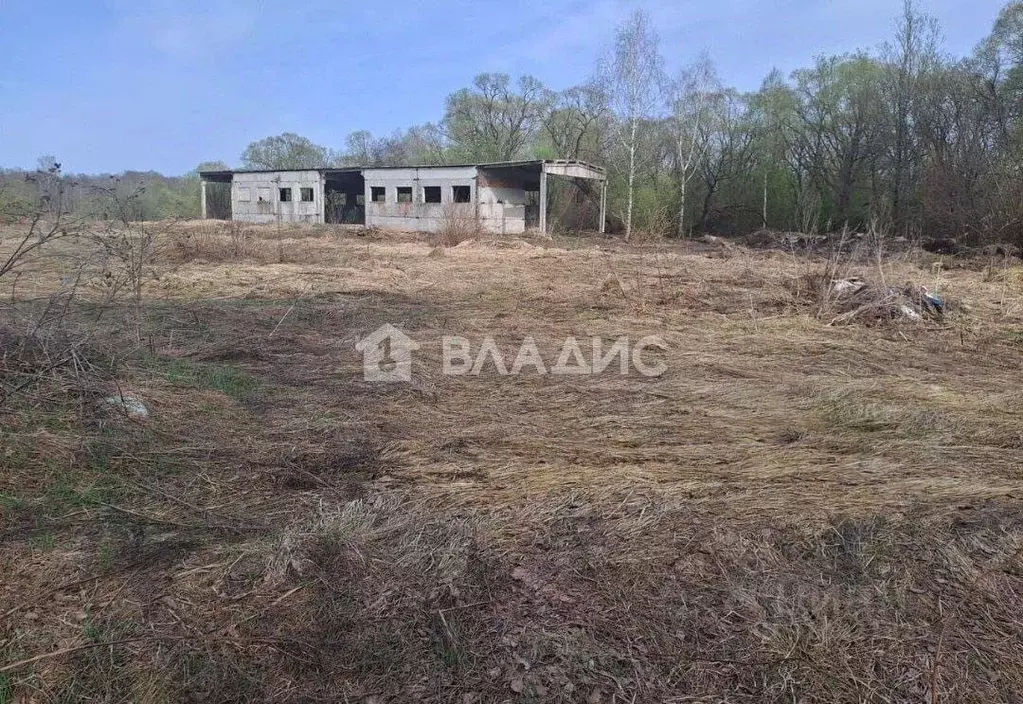 Помещение свободного назначения в Калужская область, Дзержинский ... - Фото 0