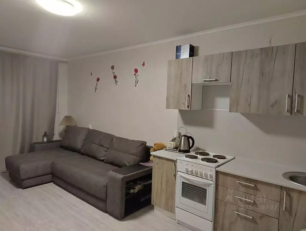 Студия Краснодарский край, Анапа ул. Адмирала Пустошкина, 22к7 (27.4 ... - Фото 1