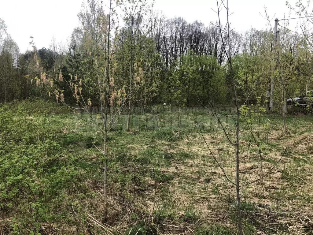 Участок в Смоленская область, Смоленский муниципальный округ, д. ... - Фото 1