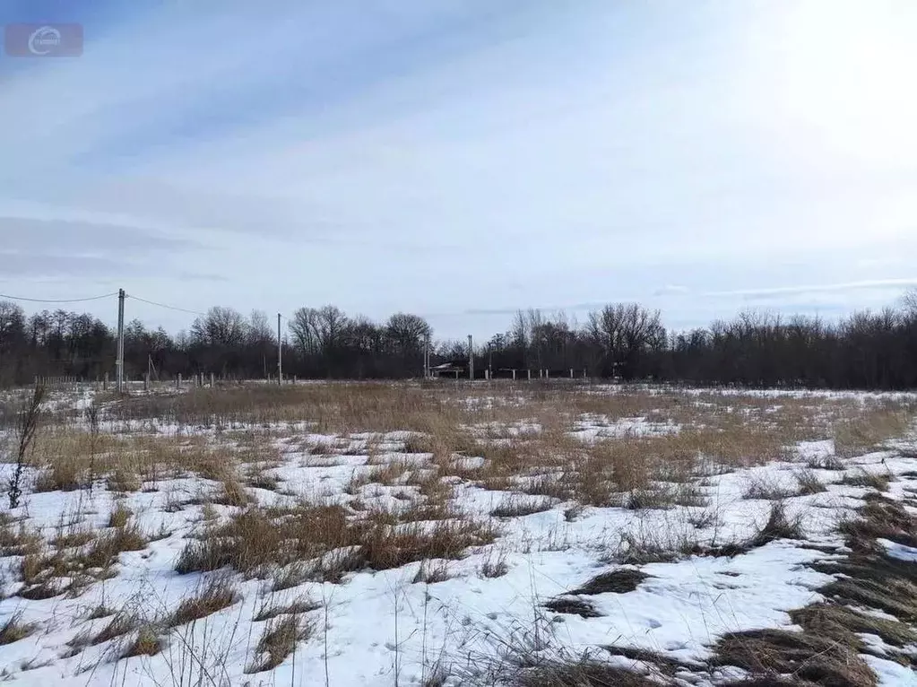 Участок в Воронежская область, Новоусманский район, Хреновское с/пос, ... - Фото 2