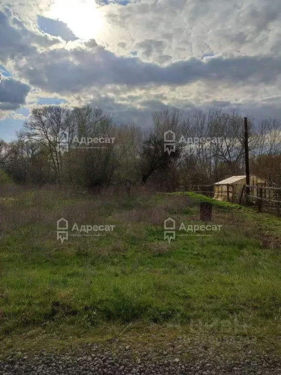 Участок в Волгоградская область, Среднеахтубинский район, Кировское ... - Фото 1