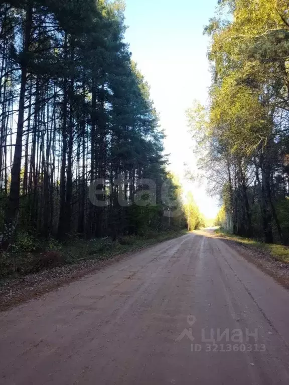 Участок в Псковская область, Палкинский район, Новоуситовская волость, ... - Фото 1