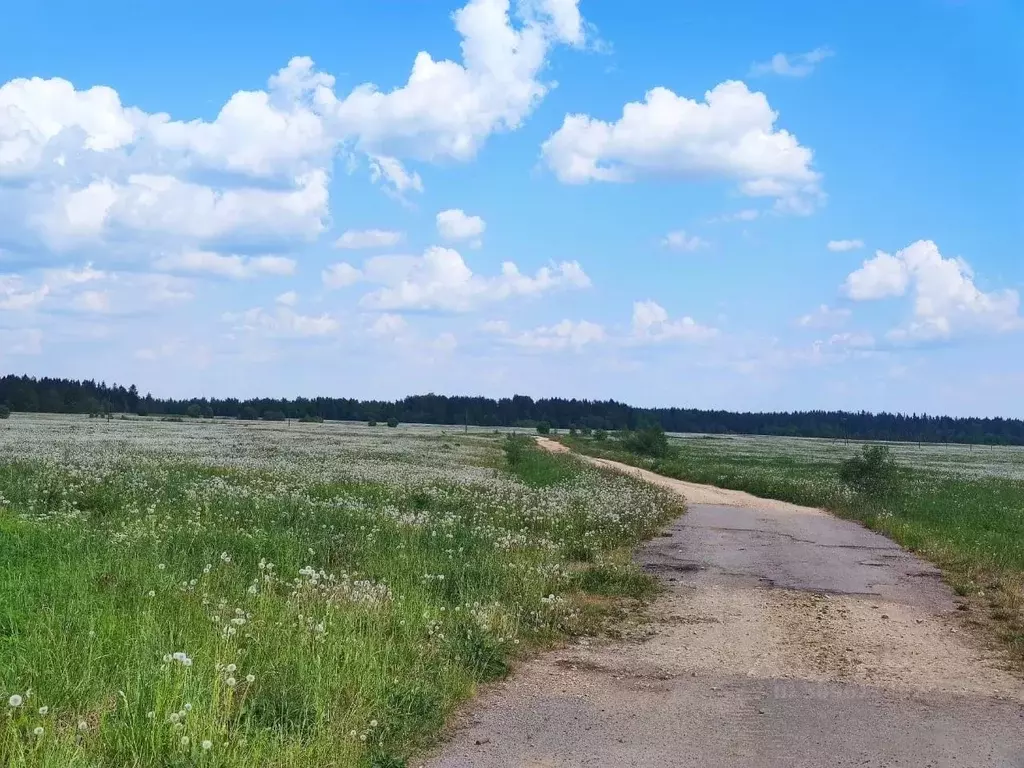 Участок в Ленинградская область, Гатчинский район, д. Лампово  ... - Фото 0