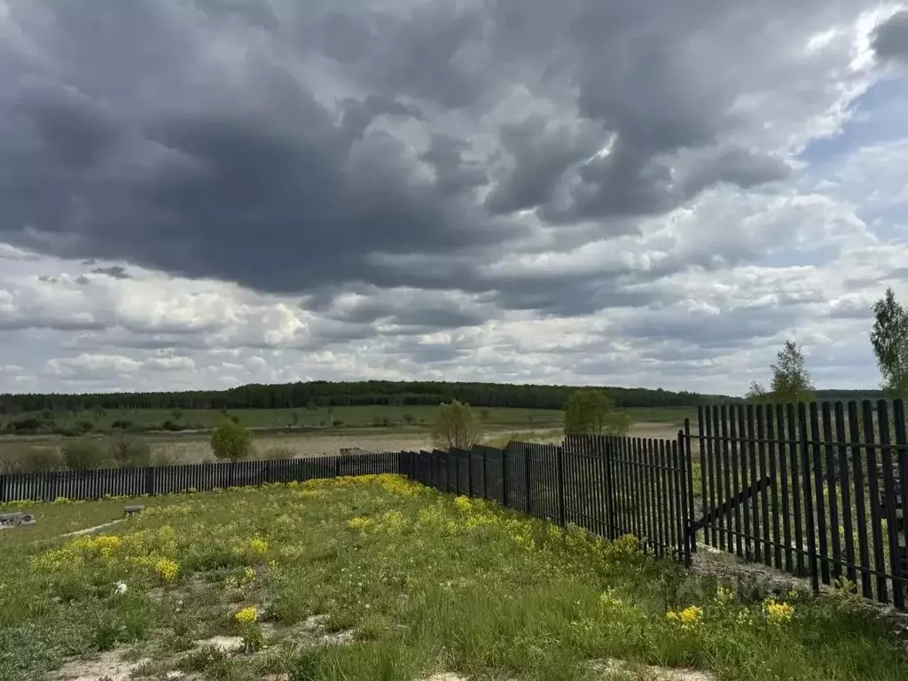 Участок в Тульская область, Тула городской округ, д. Янчерево  (8.0 ... - Фото 1