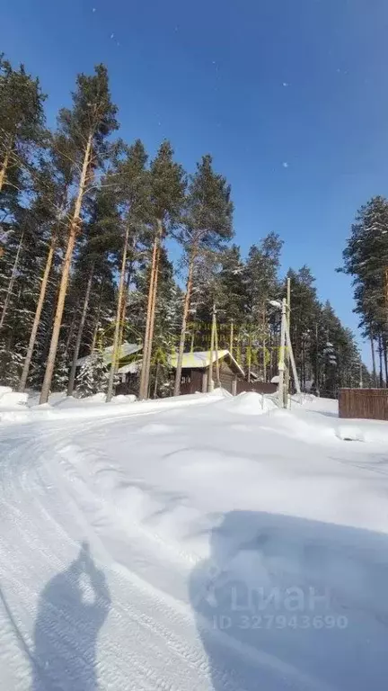 Коттедж в Свердловская область, Дегтярск ул. Виноградная (110 м) - Фото 2