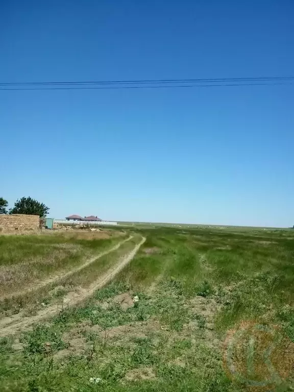 Участок в Крым, Сакский район, Молочненское с/пос, с. Витино ул. ... - Фото 1