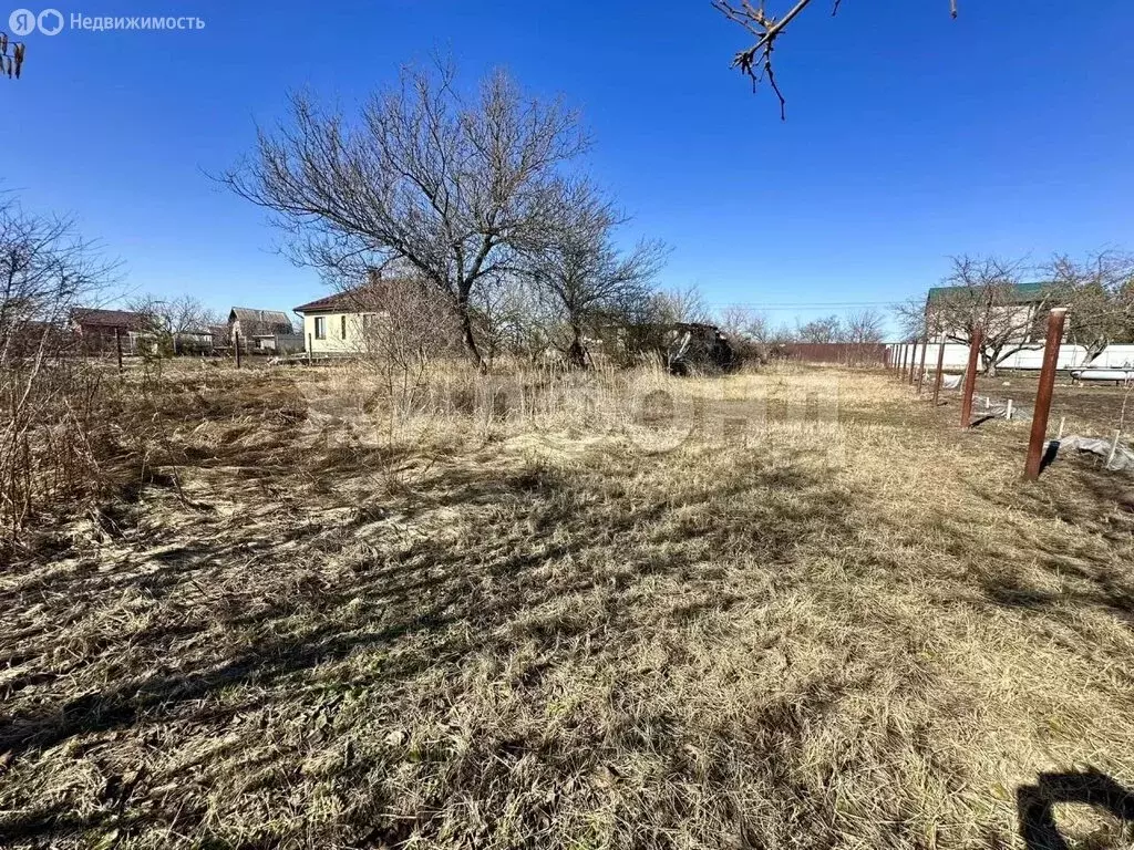 Участок в Рамонский район, Новоживотинновское сельское поселение, СНТ ... - Фото 2