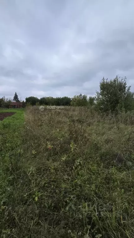 Участок в Чувашия, Чебоксарский муниципальный округ, д. Большие ... - Фото 2
