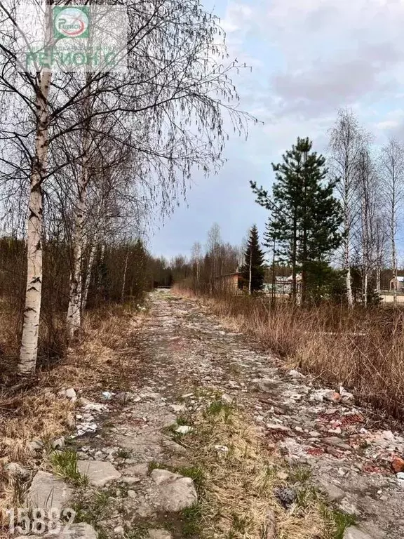 Участок в Архангельская область, Приморский муниципальный округ, ... - Фото 1