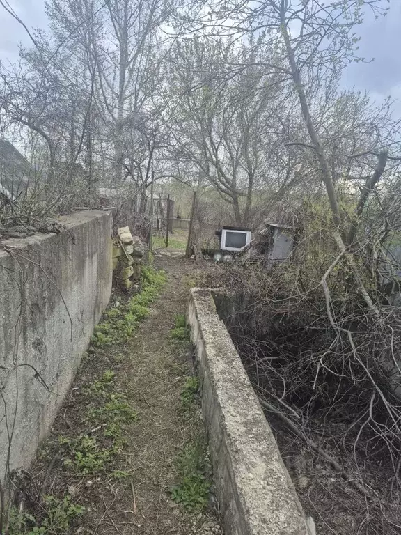 Дом в Саратовская область, Петровск Пионерская ул., 32Б (62 м) - Фото 2