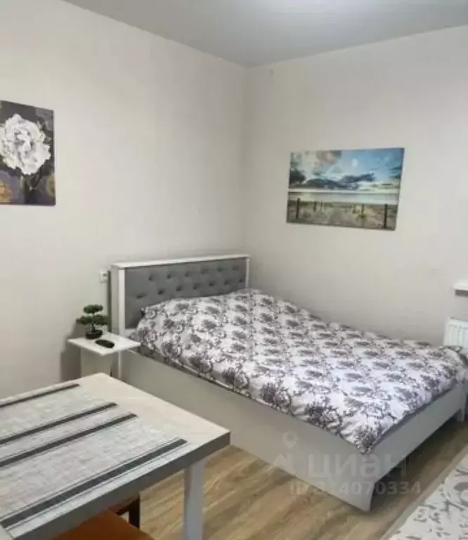 Студия Краснодарский край, Новороссийск ул. Котанова, 4 (23.0 м) - Фото 0
