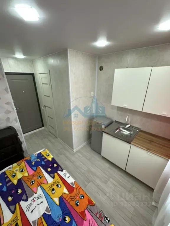 Студия Владимирская область, Муром Ленинградская ул., 10 (12.0 м) - Фото 2