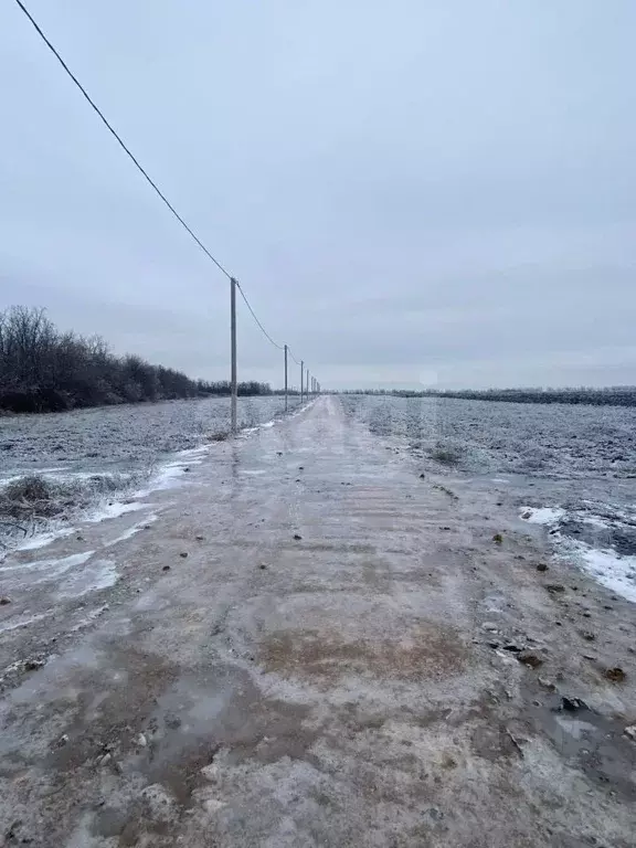 Участок в Ростовская область, Мясниковский район, Краснокрымское ... - Фото 1