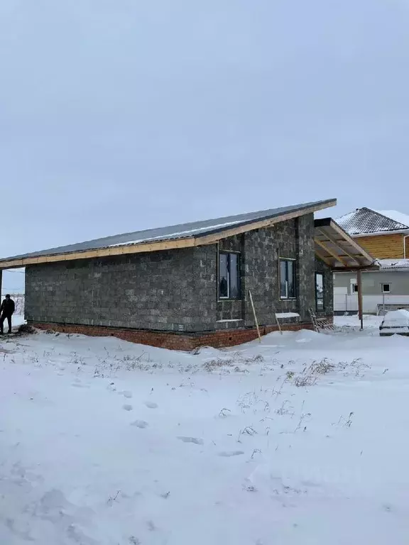 дом в омская область, омский район, с. дружино (100 м) - Фото 1