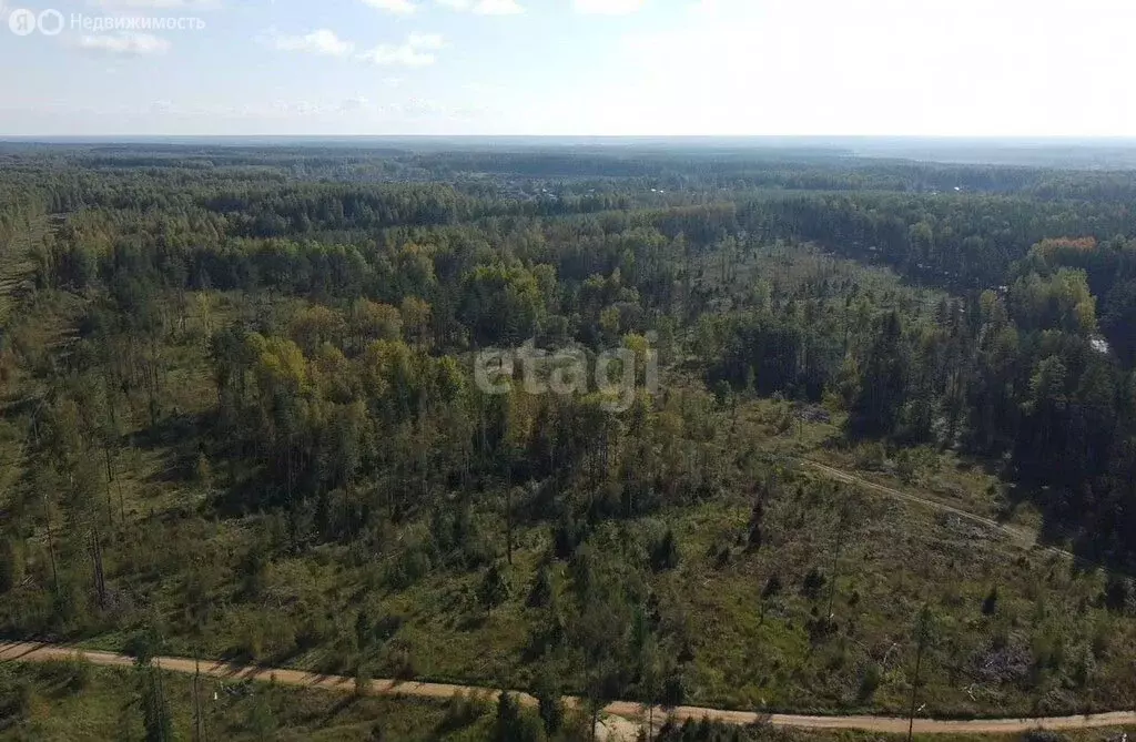 Участок в Ярославская область, сельское поселение Некрасовское, ... - Фото 0