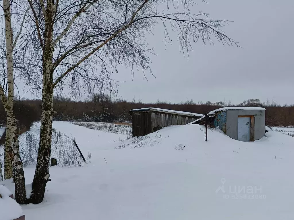 Дом в Тульская область, Кимовский район, Новольвовское с/пос, с. ... - Фото 2