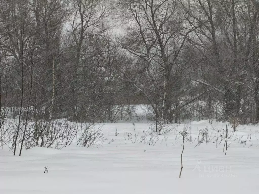 Участок в Московская область, Рузский муниципальный округ, д. Бунино  ... - Фото 1