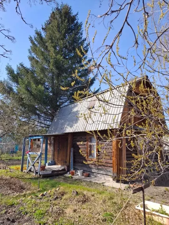 Дом в Омская область, Омск СОСН Березка-3 тер., 323 (18 м) - Фото 0