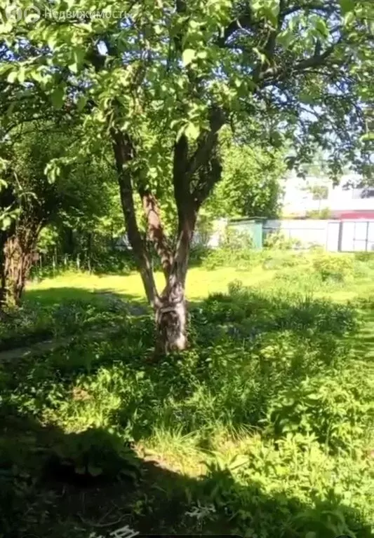 Участок в деревня Сёмкино, СНТ Сёмкино, 3 (9.45 м) - Фото 2