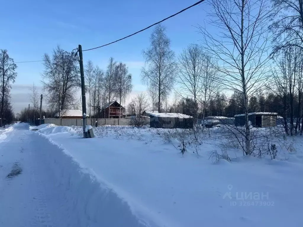 Участок в Тюменская область, Нижнетавдинский муниципальный округ, ... - Фото 0