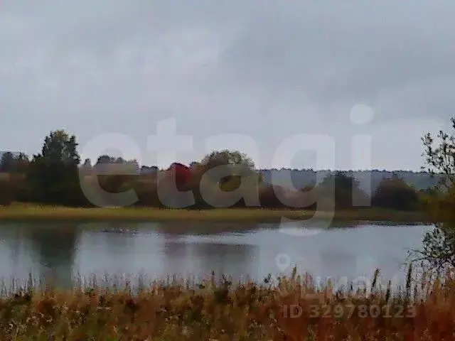 Участок в Вологодская область, Кирилловский муниципальный округ, д. ... - Фото 1