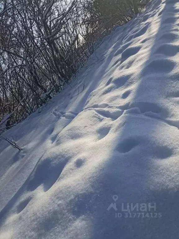 Дом в Рязанская область, Шилово рп ул. Новая, 1 (70 м) - Фото 2
