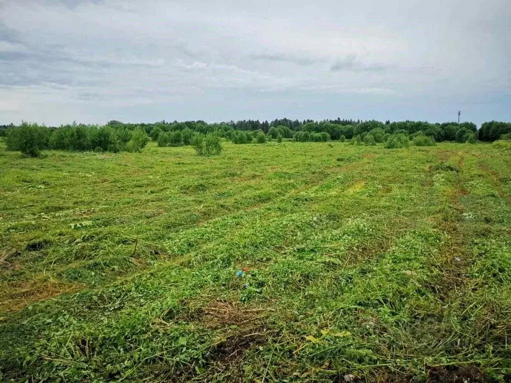 Участок в Ленинградская область, Ломоносовский район, Кипенское с/пос, ... - Фото 2