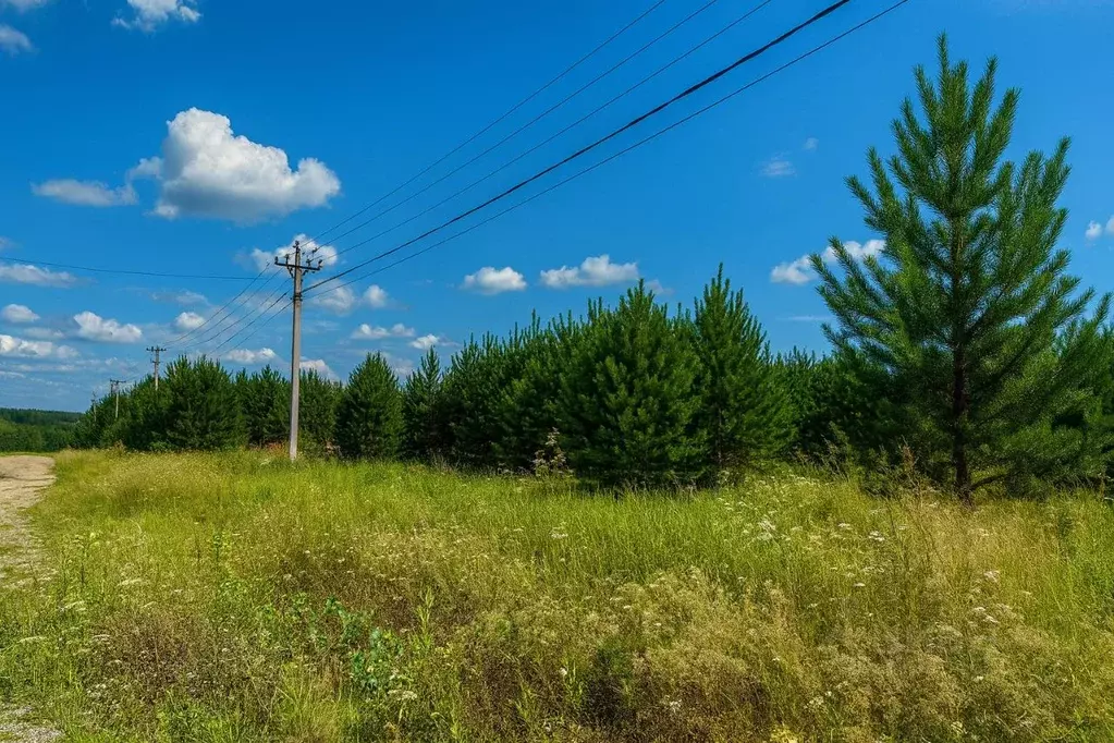 Участок в Свердловская область, Полевской муниципальный округ, с. ... - Фото 2